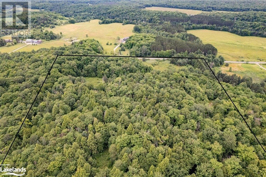 1275 Beatrice Townline Road, Bracebridge, Ontario  P1L 1X4 - Photo 3 - 40595095