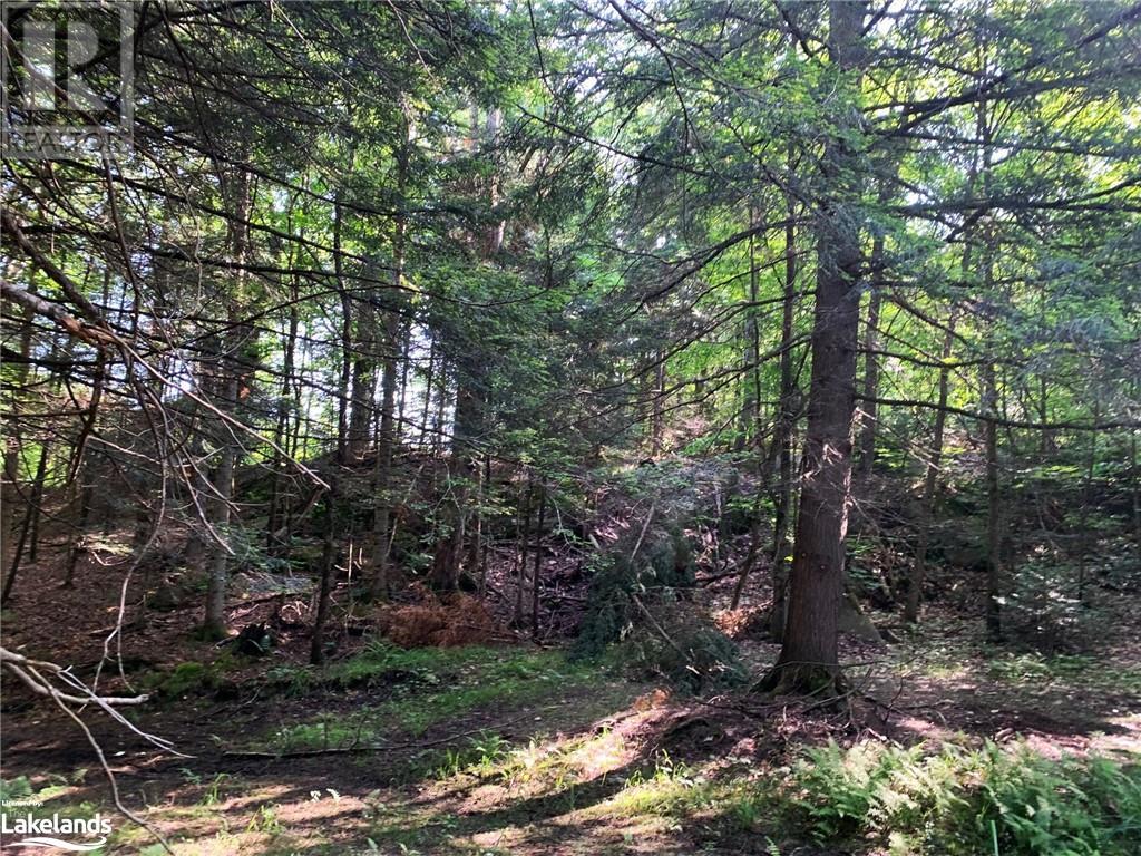 1275 Beatrice Townline Road, Bracebridge, Ontario  P1L 1X4 - Photo 29 - 40595095
