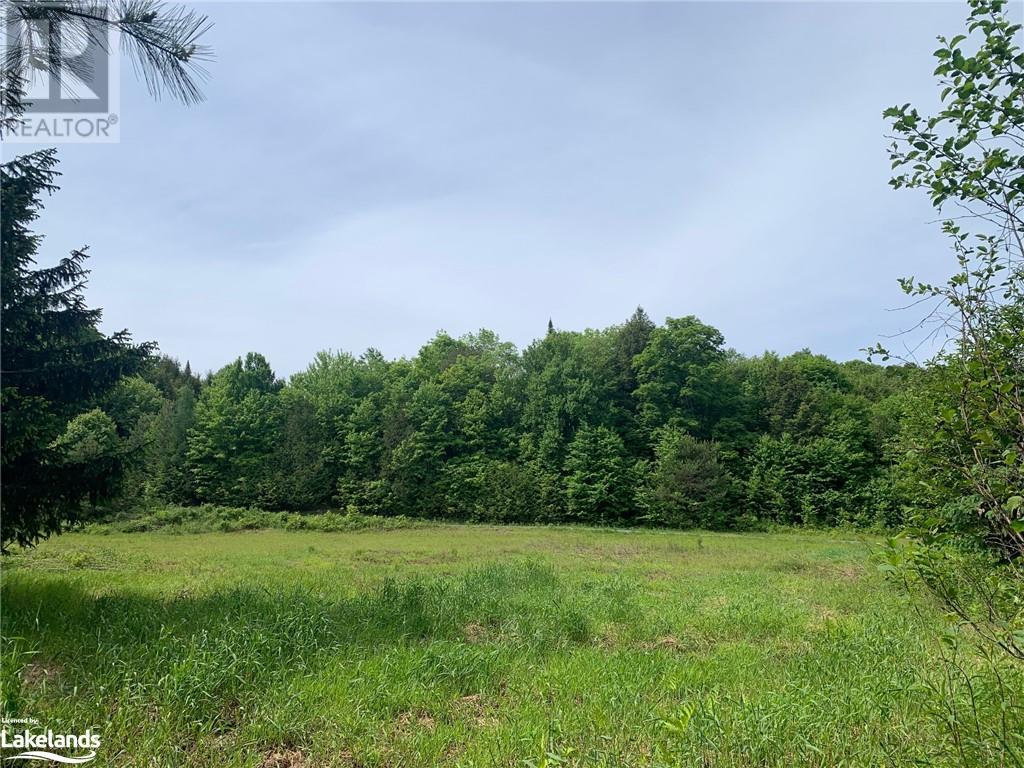 1275 Beatrice Townline Road, Bracebridge, Ontario  P1L 1X4 - Photo 36 - 40595095