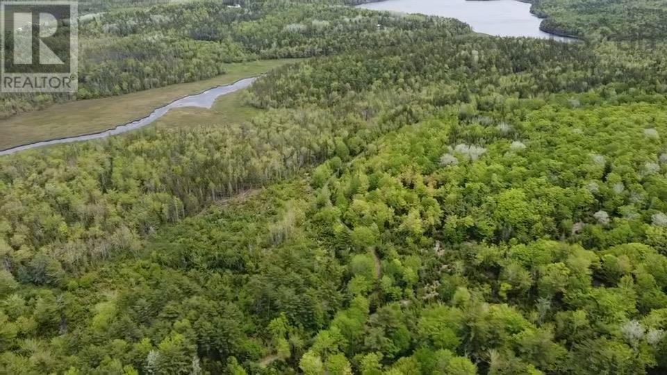 Lot B Waterloo Road, Waterloo, Nova Scotia B4V 8K2 - Photo 14 - 202411819
