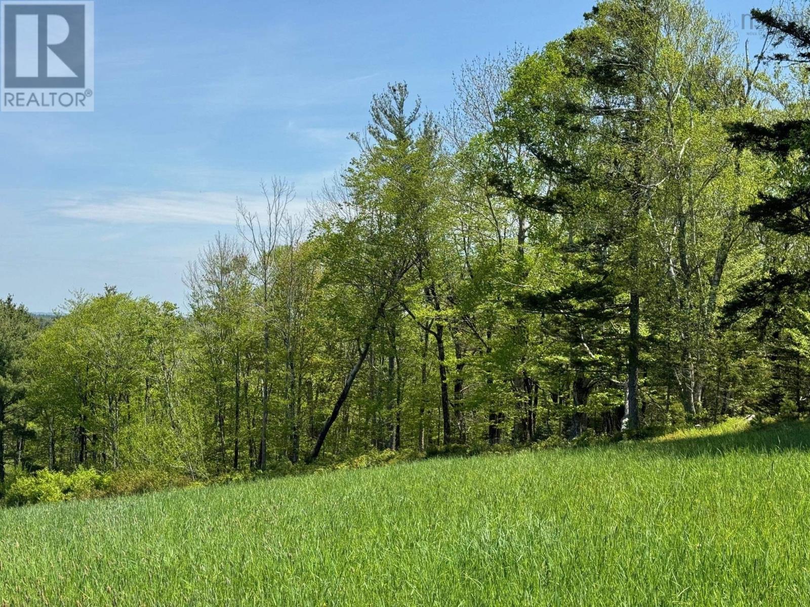 Lot B Waterloo Road, Waterloo, Nova Scotia B4V 8K2 - Photo 6 - 202411819