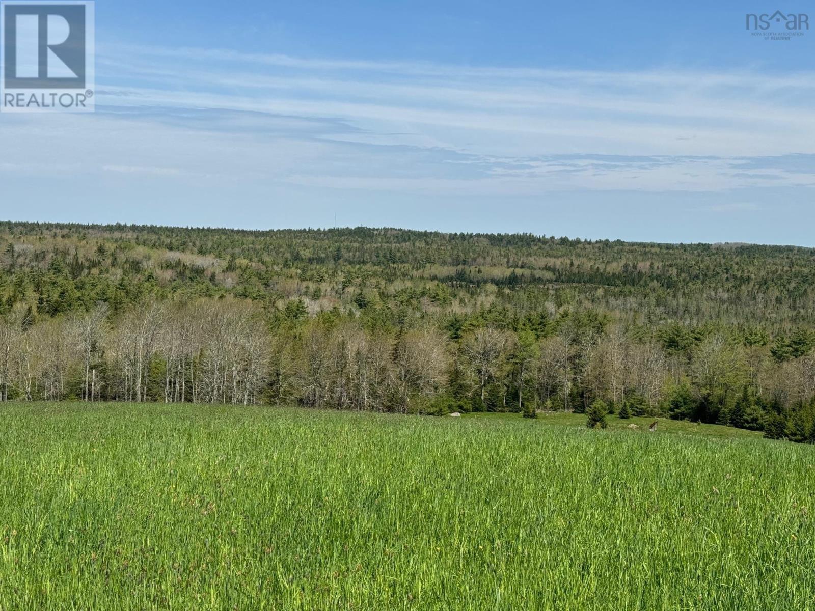 Lot B Waterloo Road, Waterloo, Nova Scotia B4V 8K2 - Photo 8 - 202411819