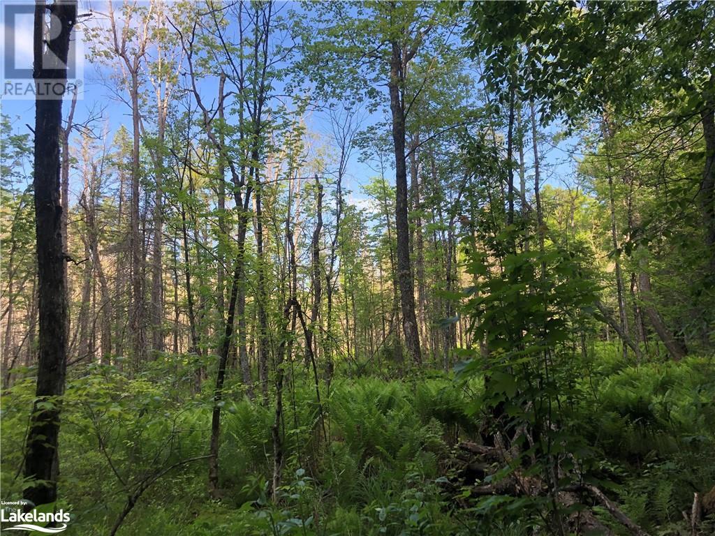 LOT 7 CON 5, mclean, Ontario