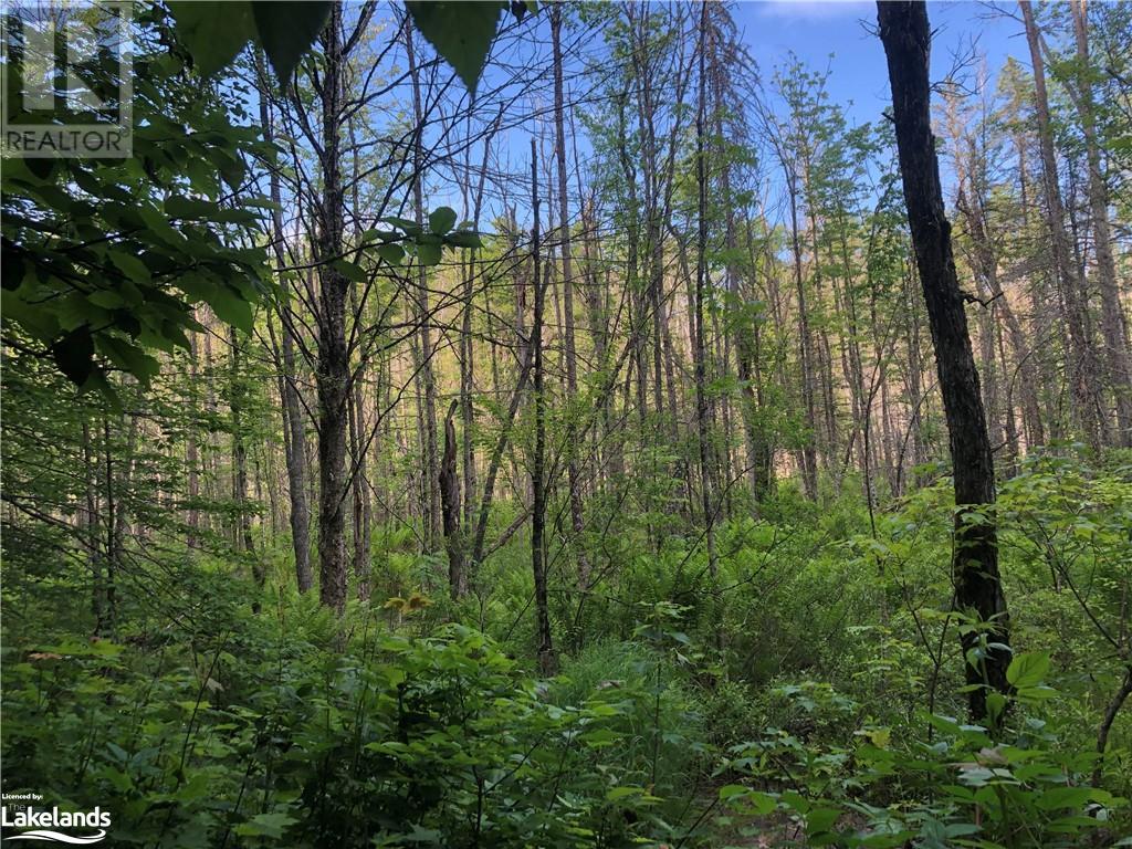 Lot 7 Con 5, Mclean, Ontario  P0B 1A0 - Photo 2 - 40598444