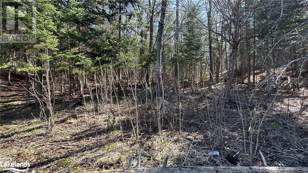 36 Magnet Road, Magnetawan, Ontario  P0A 1P0 - Photo 28 - 40579473