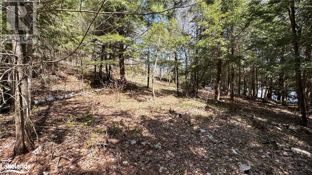 36 Magnet Road, Magnetawan, Ontario  P0A 1P0 - Photo 3 - 40579473