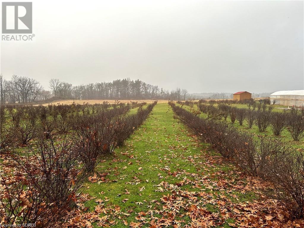 817 Charlotteville East Quarterline Road E, Vittoria, Ontario  N0E 1W0 - Photo 38 - 40599054