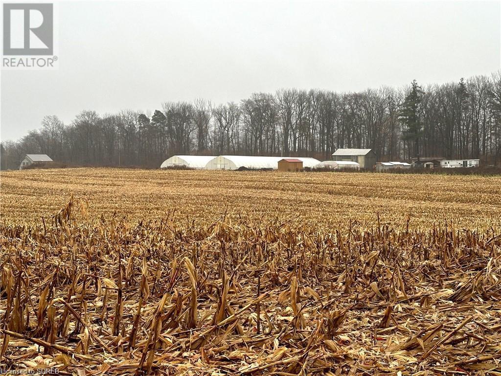 817 Charlotteville East Quarterline Road E, Vittoria, Ontario  N0E 1W0 - Photo 39 - 40599054