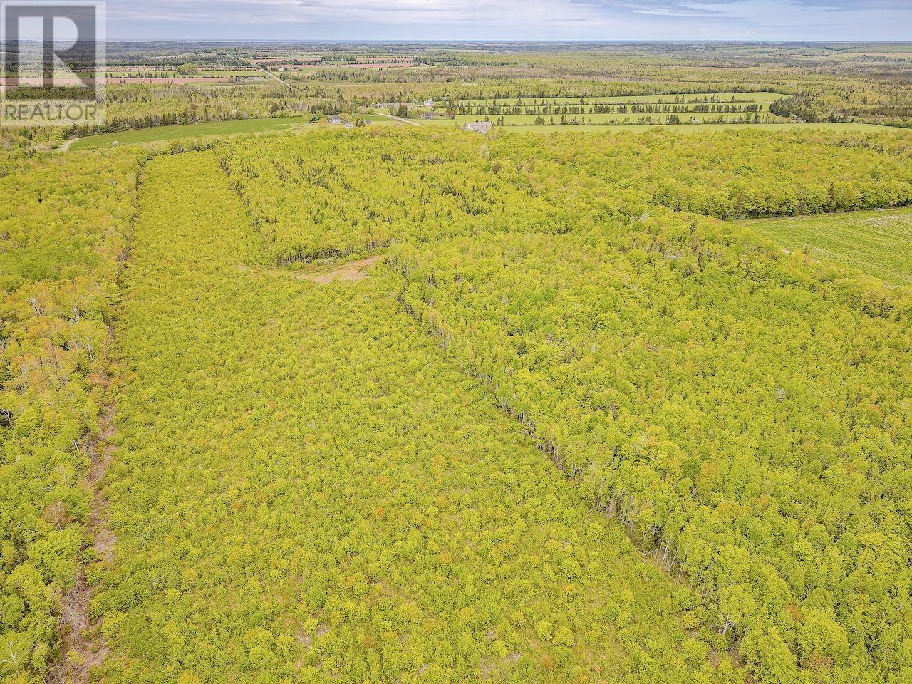 Acreage Bangor Road, Riverton, Prince Edward Island  C0A 1S0 - Photo 5 - 202410872