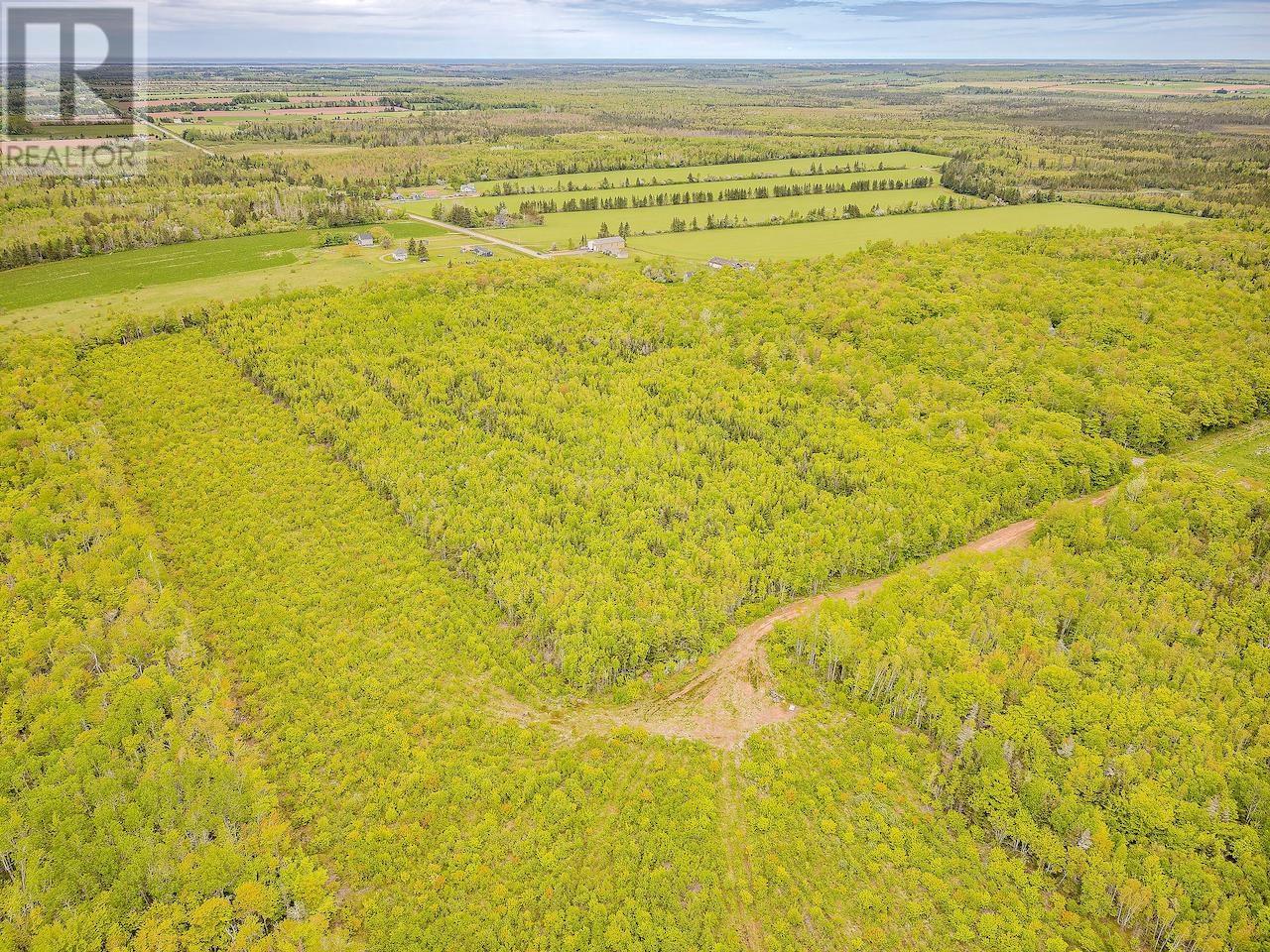 Acreage Bangor Road, Riverton, Prince Edward Island  C0A 1S0 - Photo 6 - 202410872