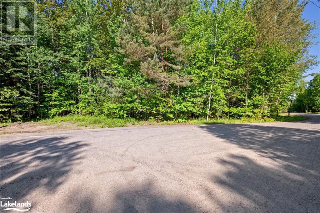 1042 Suburban Court, West Guilford, Ontario  K0M 2K0 - Photo 15 - 40598826