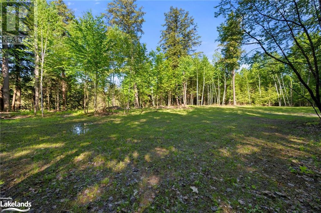 1042 Suburban Court, West Guilford, Ontario  K0M 2K0 - Photo 6 - 40598826