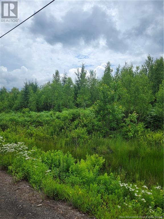 Lot 8 Route 10, Cumberland Bay, New Brunswick  E4A 3A3 - Photo 2 - NB101234