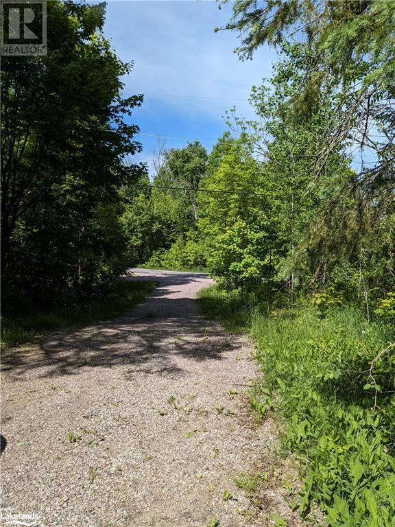 60 Mary Street, Magnetawan, Ontario  P0A 1P0 - Photo 3 - 40596739