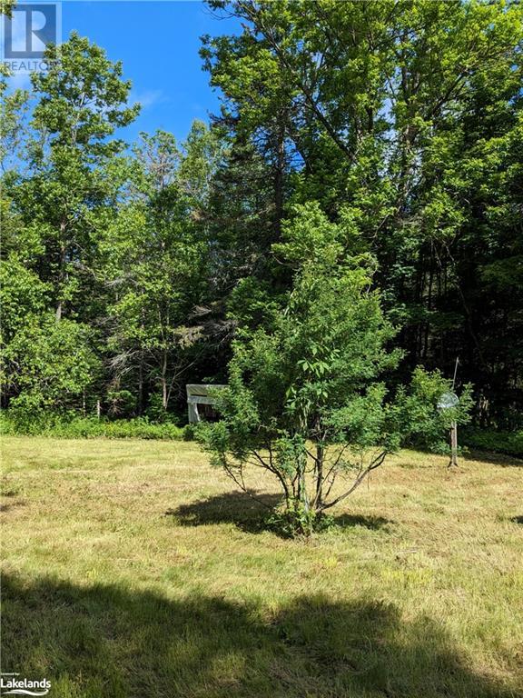 60 Mary Street, Magnetawan, Ontario  P0A 1P0 - Photo 33 - 40596739
