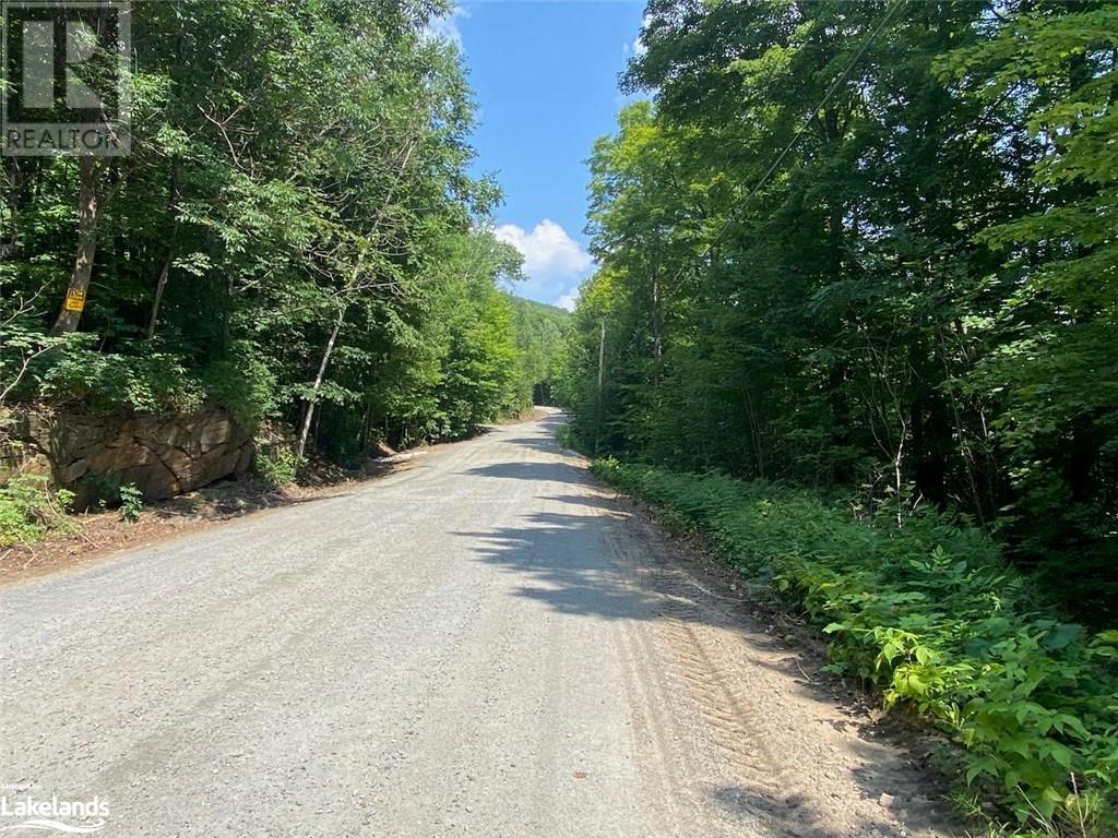 1052 Portage Road, Haliburton, Ontario  K0M 1S0 - Photo 39 - 40598987