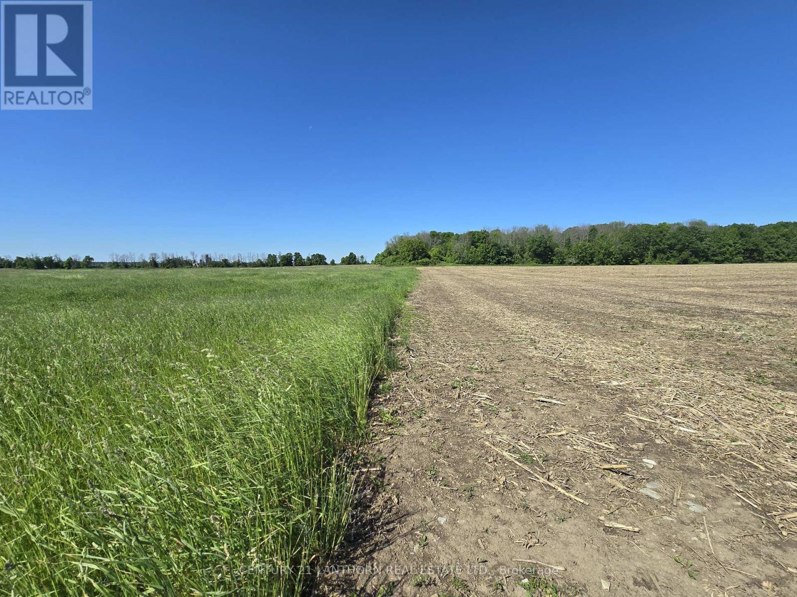 0 Card Road, Stone Mills, Ontario  K0K 3N0 - Photo 10 - X7229944