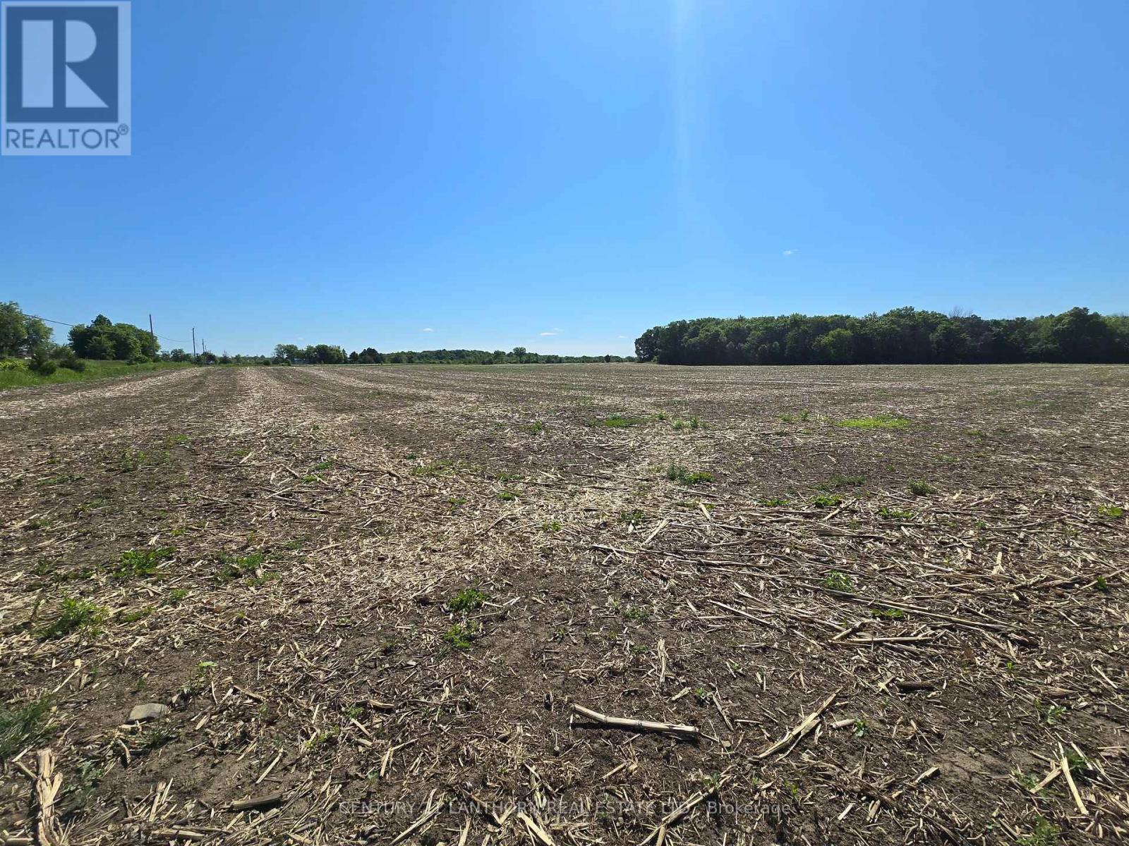 0 Card Road, Stone Mills, Ontario  K0K 3N0 - Photo 3 - X7229944
