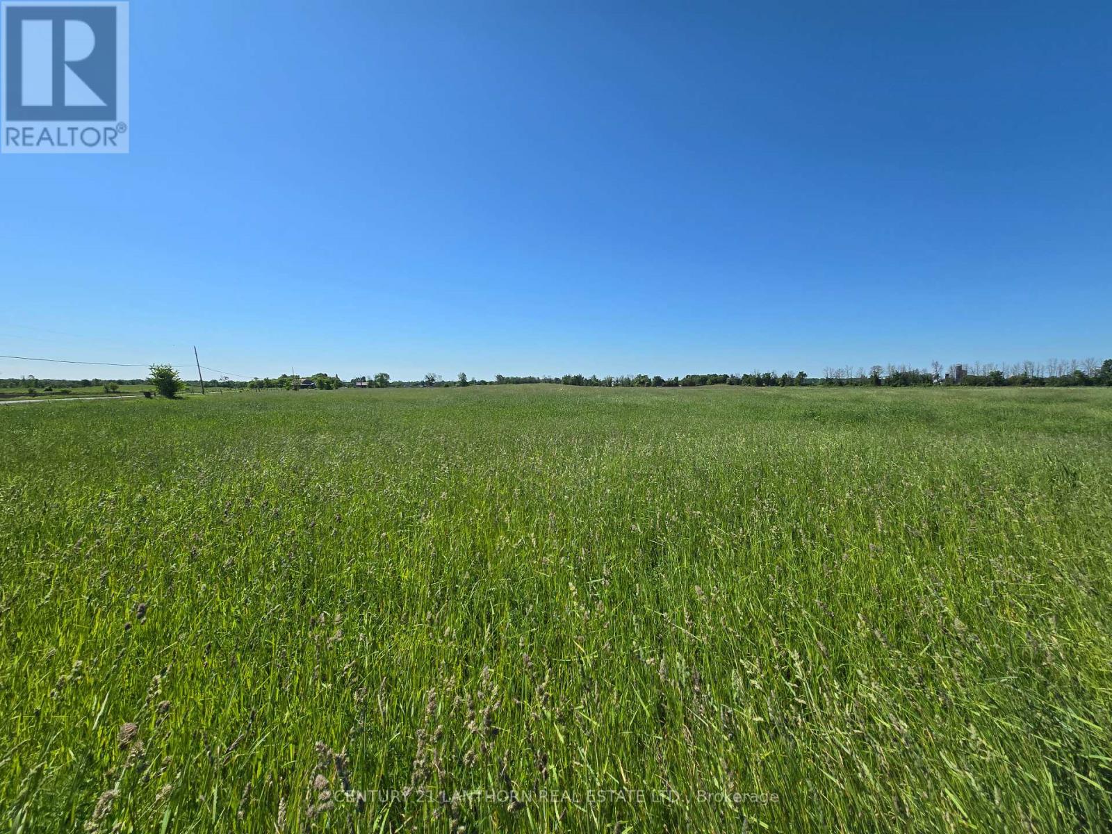 0 Card Road, Stone Mills, Ontario  K0K 3N0 - Photo 9 - X7229944