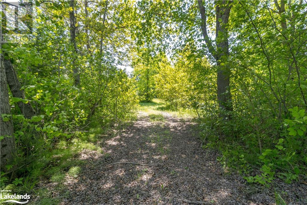 0 Tiffany Lane, Minden, Ontario  K0M 2K0 - Photo 11 - 40598811