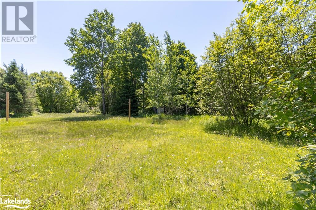 0 Tiffany Lane, Minden, Ontario  K0M 2K0 - Photo 6 - 40598811
