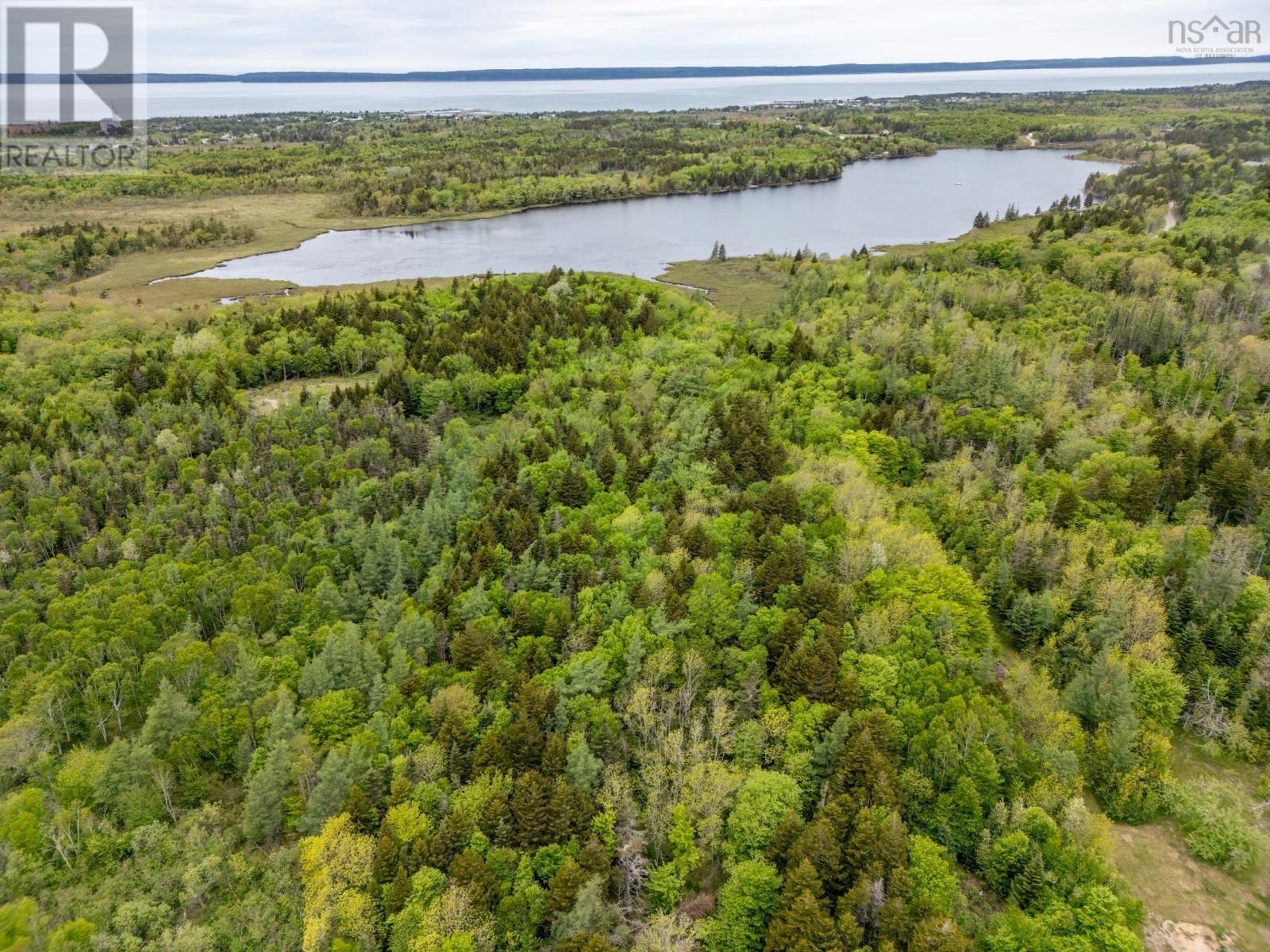 Lots Boudreau Branch Road, Church Point, Nova Scotia  B0W 1M0 - Photo 10 - 202412425