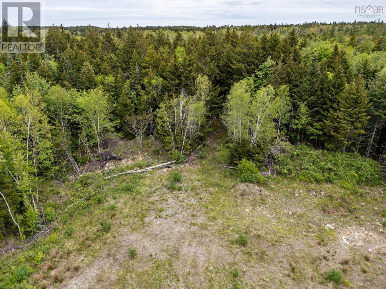 Lots Boudreau Branch Road, Church Point, Nova Scotia  B0W 1M0 - Photo 19 - 202412425