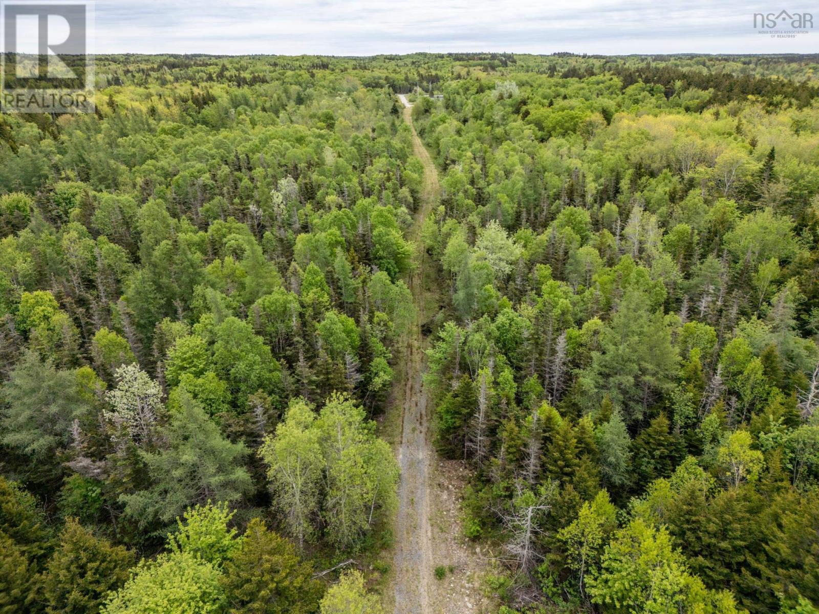 Lots Boudreau Branch Road, Church Point, Nova Scotia  B0W 1M0 - Photo 20 - 202412425