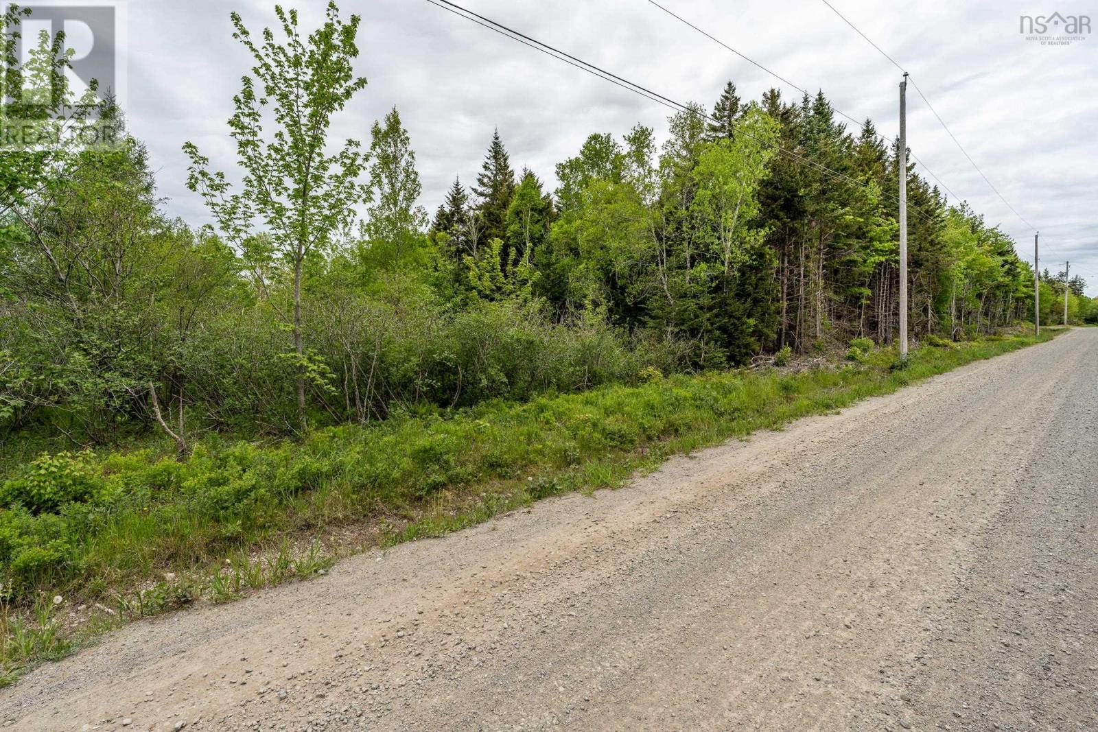 Lots Boudreau Branch Road, Church Point, Nova Scotia  B0W 1M0 - Photo 22 - 202412425