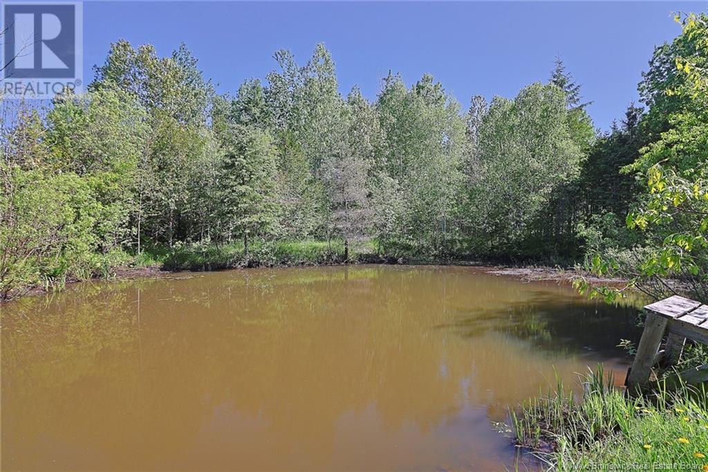 125 South Knowlwsville Road, Knowlesville, New Brunswick  E7L 1B1 - Photo 29 - NB093987