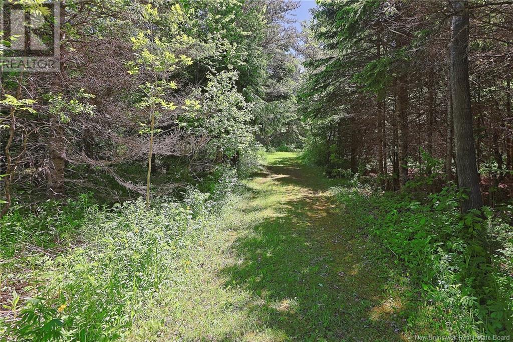 125 South Knowlwsville Road, Knowlesville, New Brunswick  E7L 1B1 - Photo 42 - NB093987