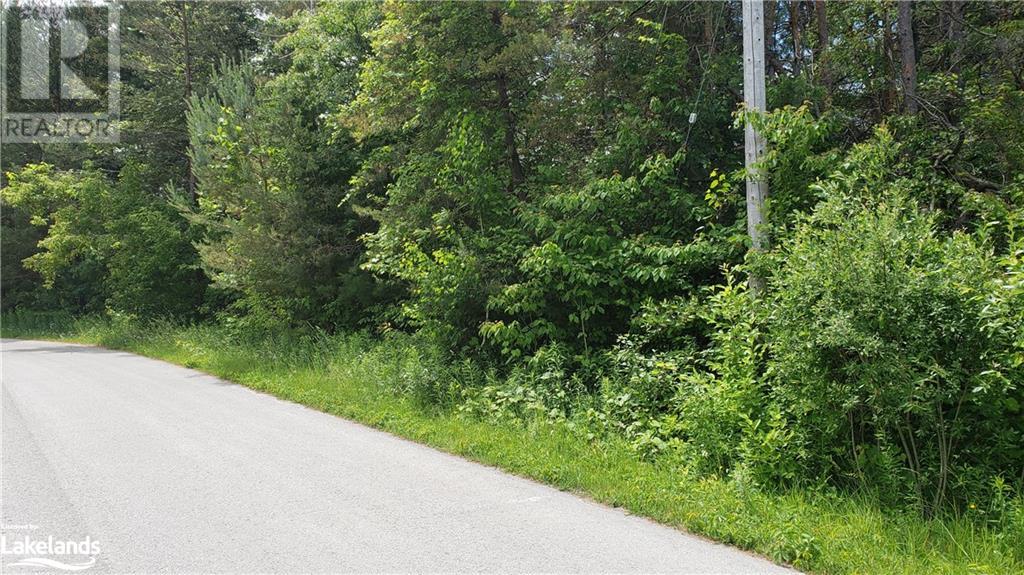 25 Murray Crescent, Stayner, Ontario  L0M 1S0 - Photo 4 - 40584081
