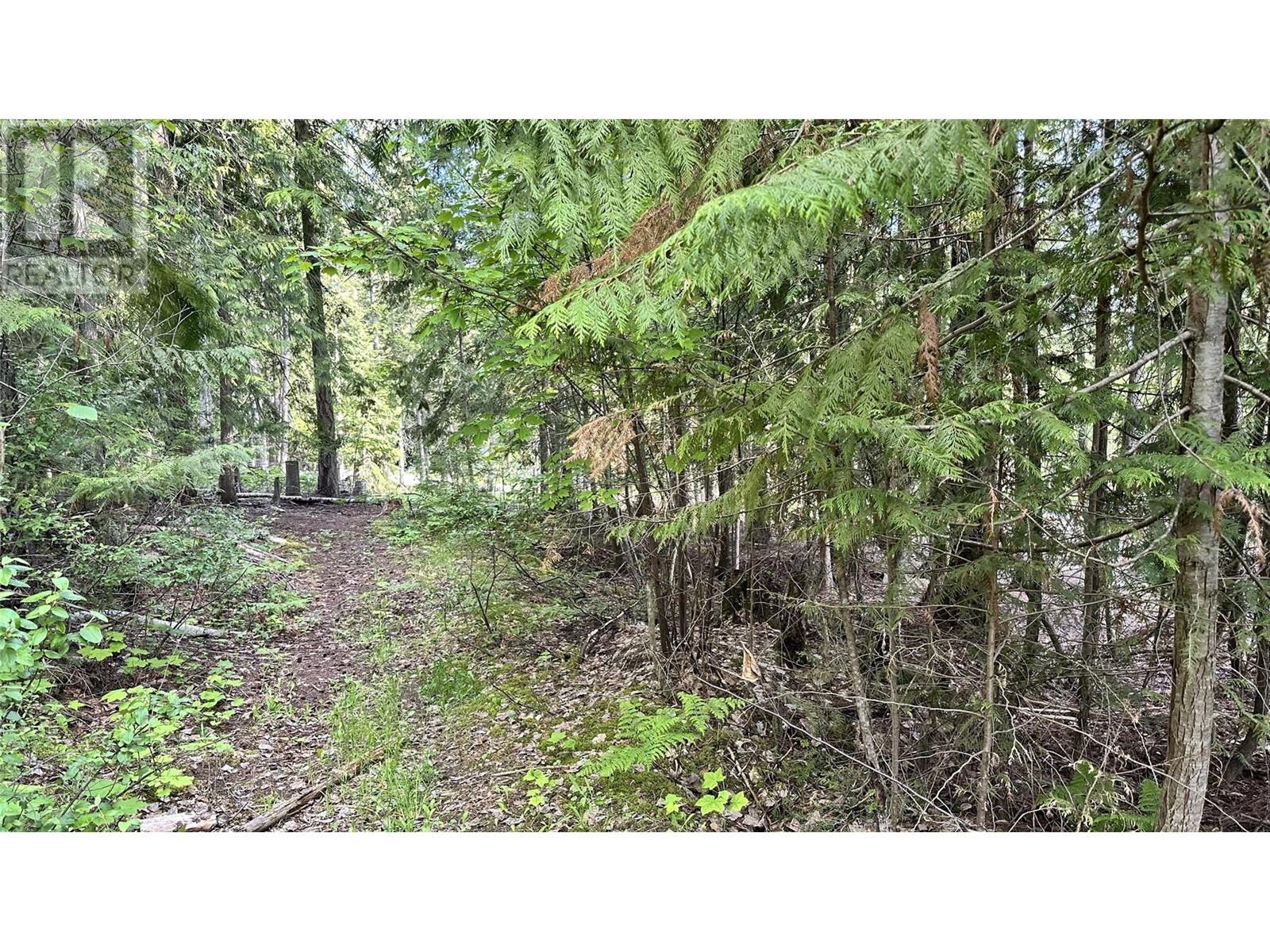 Lot 157 Estate Place, Anglemont, British Columbia  V0E 1M8 - Photo 10 - 10315454