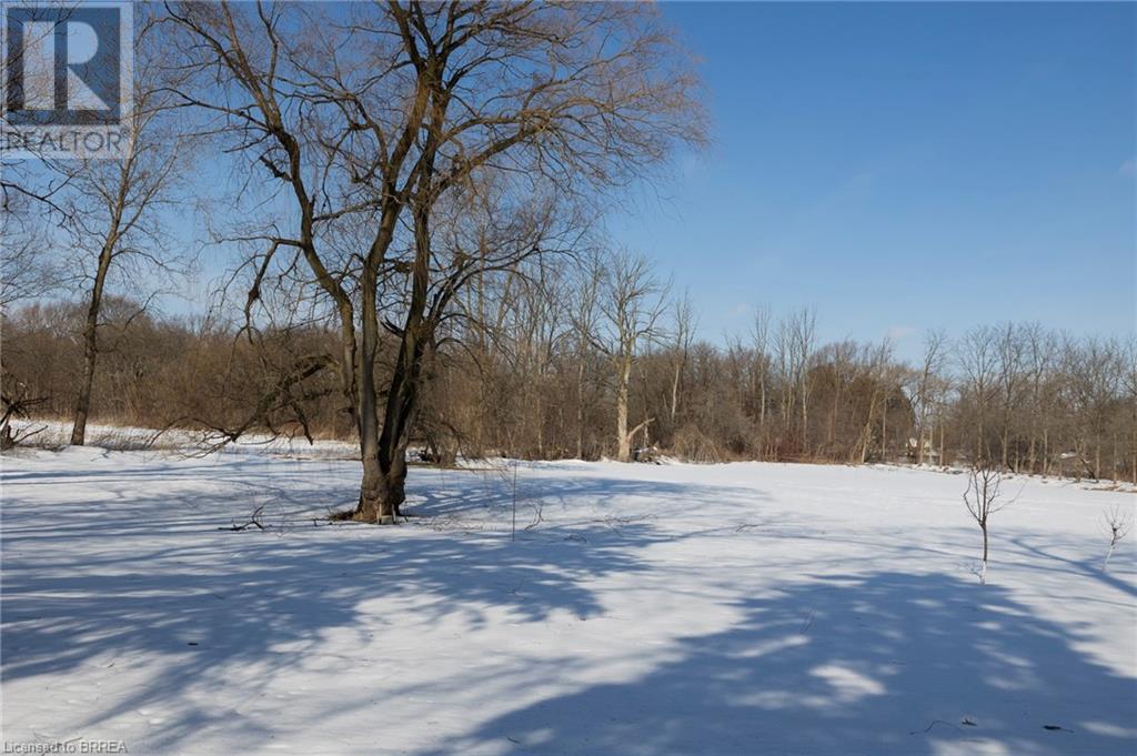 251 Harley Road, Harley, Ontario  N0E 1E0 - Photo 14 - 40598738