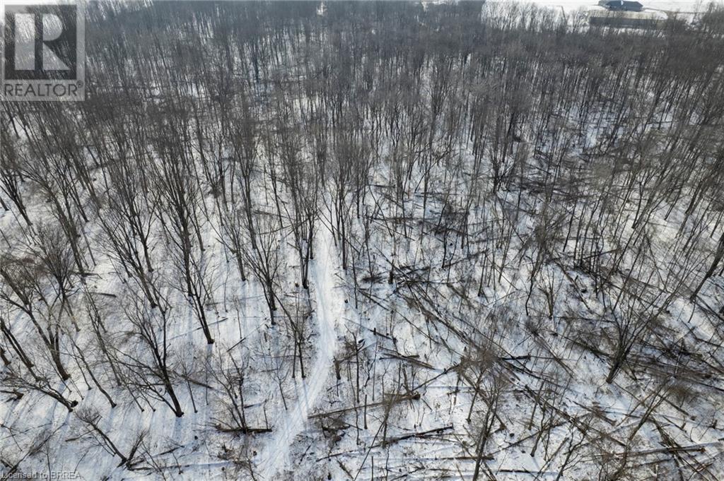 251 Harley Road, Harley, Ontario  N0E 1E0 - Photo 17 - 40598738