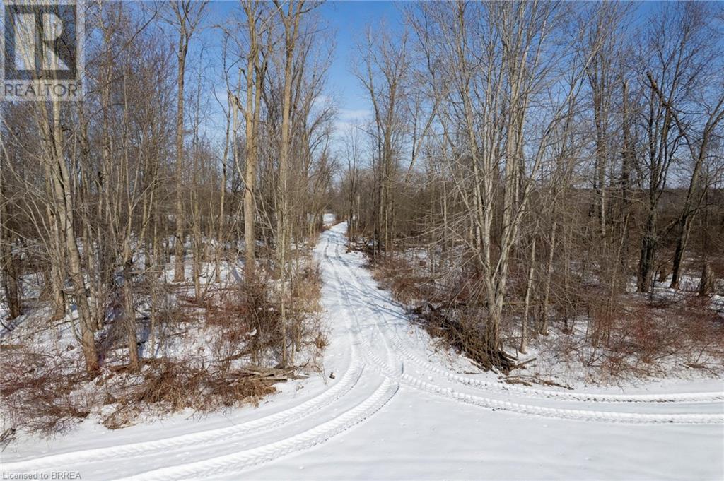 251 Harley Road, Harley, Ontario  N0E 1E0 - Photo 7 - 40598738