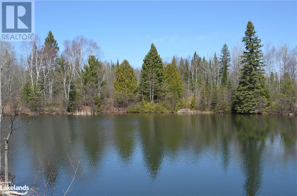 142 Hillside Road, Bancroft, Ontario  K0L 1C0 - Photo 6 - 40573264