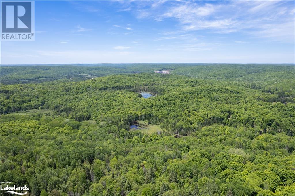 142 Hillside Road, Bancroft, Ontario  K0L 1C0 - Photo 12 - 40573264
