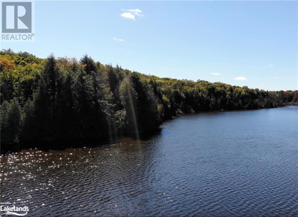 113 Cross Road, Bancroft, Ontario  K0L 1C0 - Photo 10 - 40596952