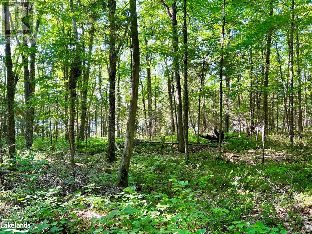 113 Cross Road, Bancroft, Ontario  K0L 1C0 - Photo 16 - 40596952