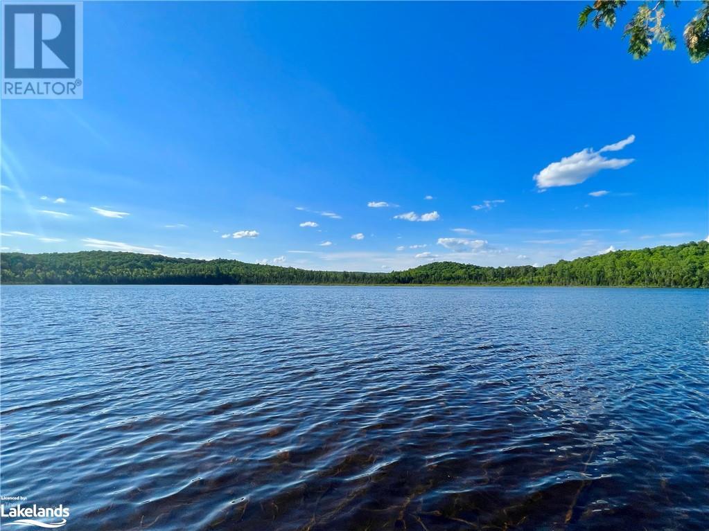 113 Cross Road, Bancroft, Ontario  K0L 1C0 - Photo 3 - 40596952