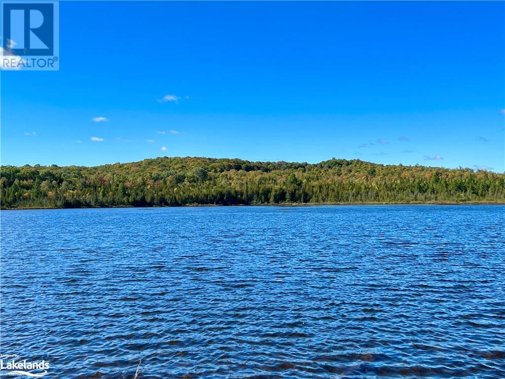 113 Cross Road, Bancroft, Ontario  K0L 1C0 - Photo 34 - 40596952