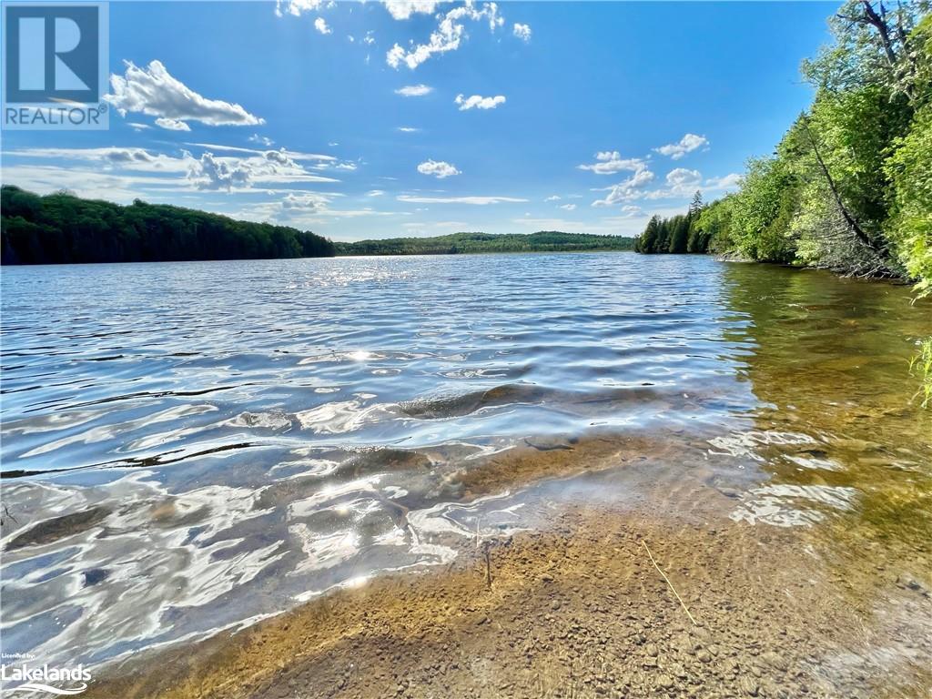 113 Cross Road, Bancroft, Ontario  K0L 1C0 - Photo 6 - 40596952