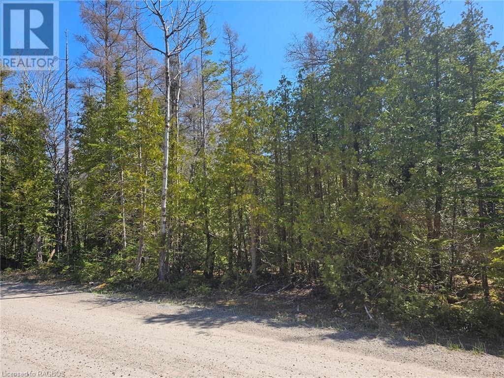 Lot 2 Spry Road, Northern Bruce Peninsula, Ontario  N0H 1W0 - Photo 6 - 40586026