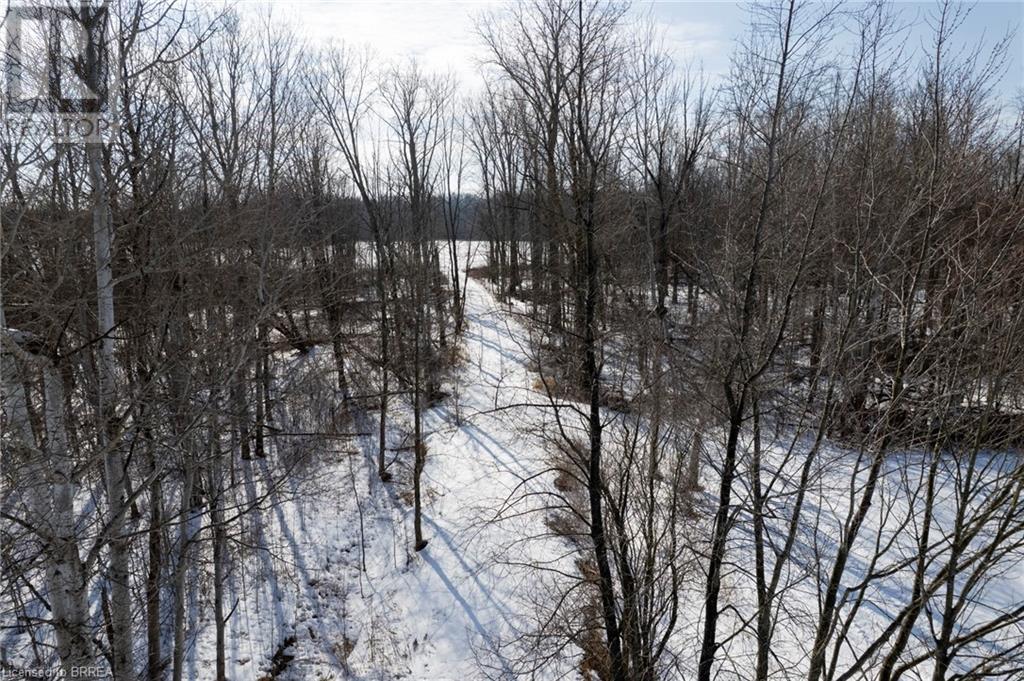 251 Harley Road, Harley, Ontario  N0E 1E0 - Photo 17 - 40599473