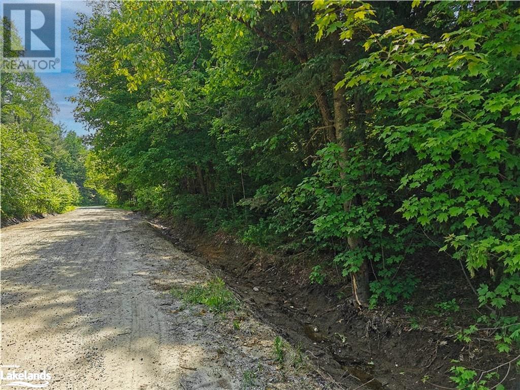 260 Stephenson 2 Road W, Huntsville, Ontario  P0B 1M0 - Photo 4 - 40518986