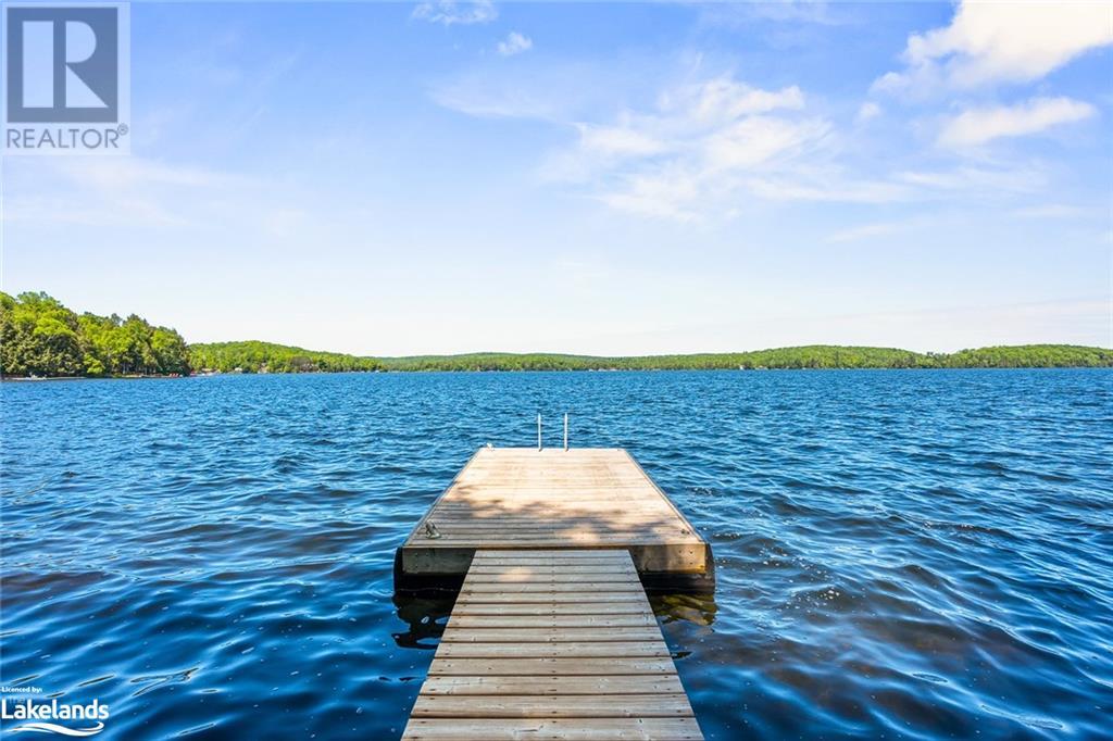 1417 Hodgson Road, Haliburton, Ontario  K0M 1S0 - Photo 4 - 40561873