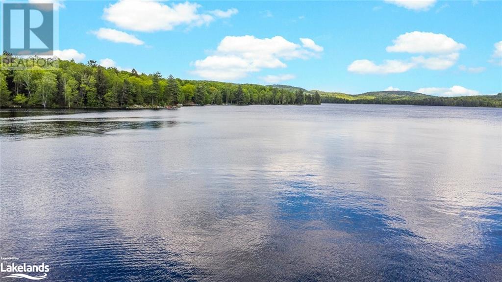 1057 Fly Fisher Trail, Haliburton, Ontario  K0M 1S0 - Photo 40 - 40598884