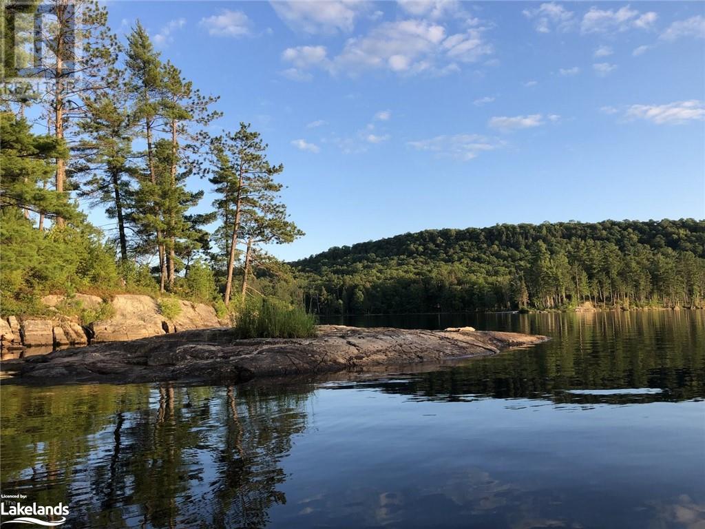 1057 Fly Fisher Trail, Haliburton, Ontario  K0M 1S0 - Photo 46 - 40598884