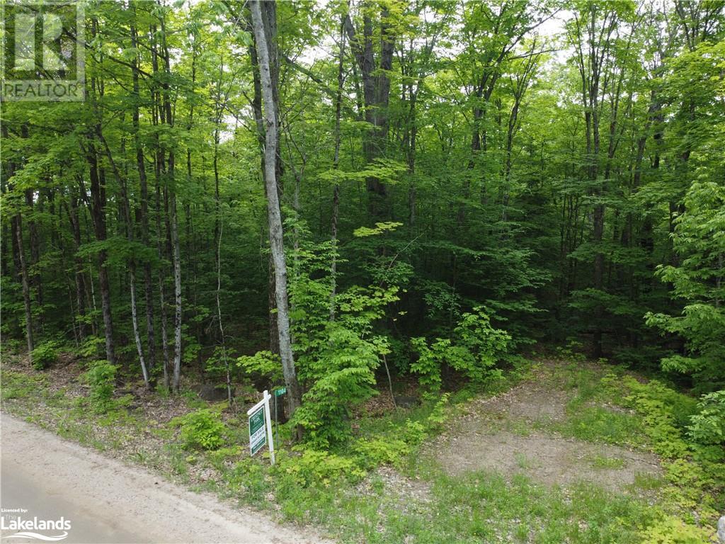 1104 Starratt Road, Burk's Falls, Ontario  P0A 1C0 - Photo 10 - 40598858